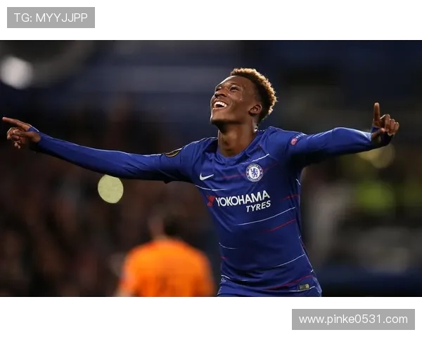 FM2017版本中英超球员推荐及潜力评估